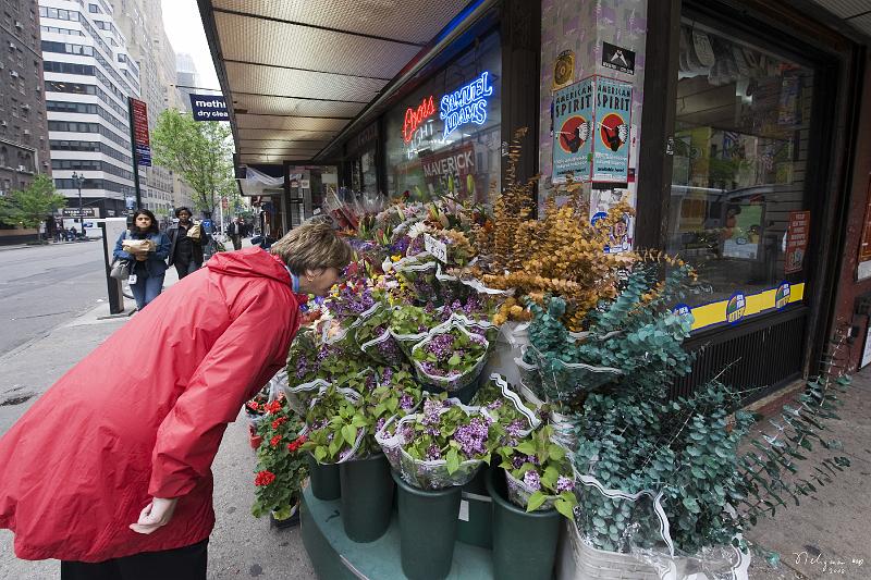 20080502_125613 D3 F  FS .jpg - Smelling the roses, NYC